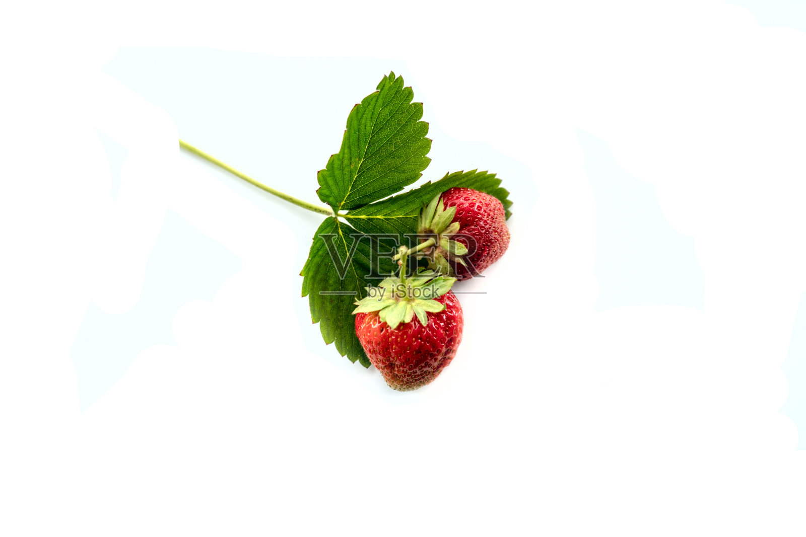 孤立在白色背景草莓，特写照片照片摄影图片