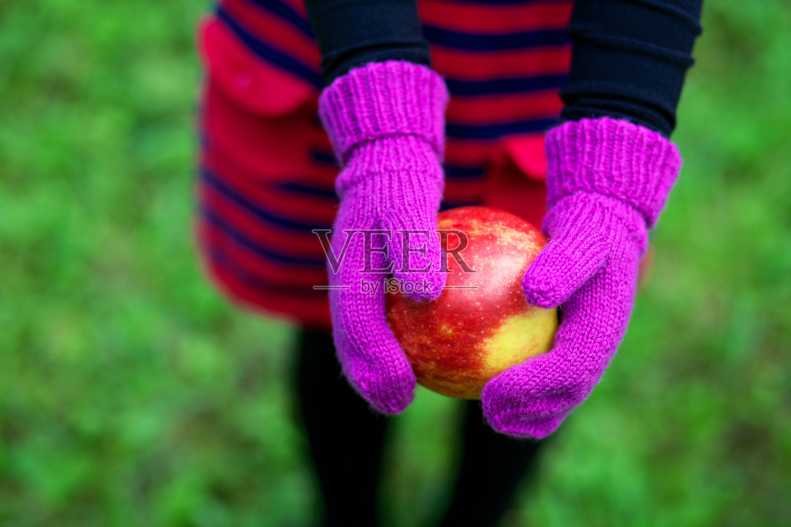 孩子的双手在美丽的粉红色羊毛编织的连指手套拿着一个苹果-近看，模糊的脸。从上面。照片摄影图片