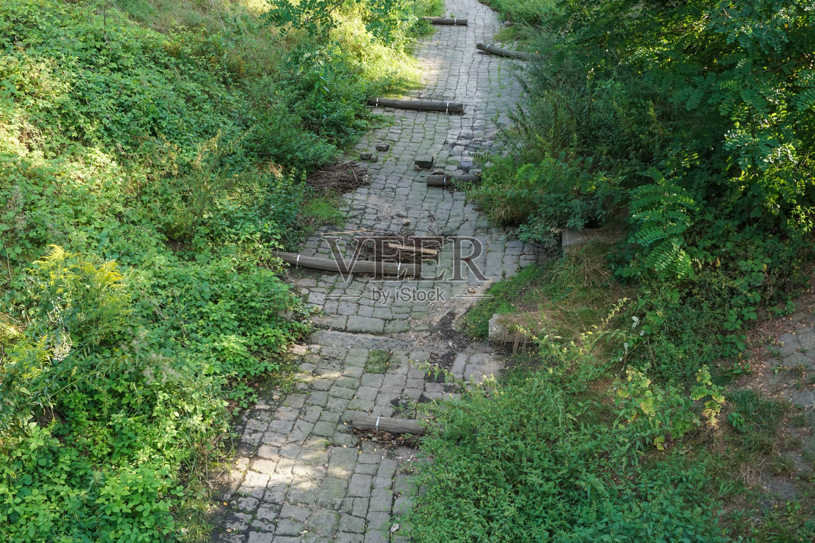 干涸的河床照片摄影图片