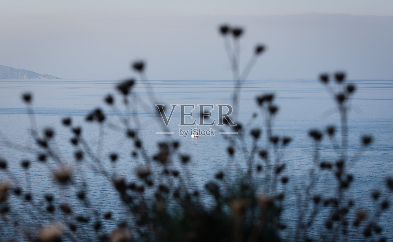 海面和渔船透过草丛可见照片摄影图片