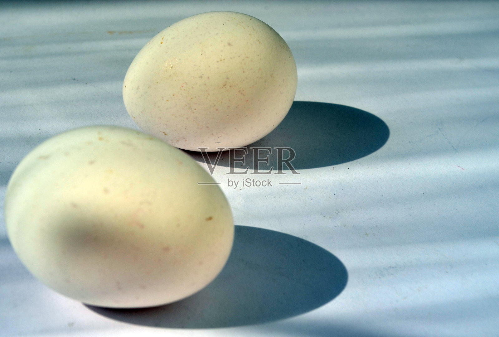 白色的鸡蛋配上浅色的背景。照片摄影图片