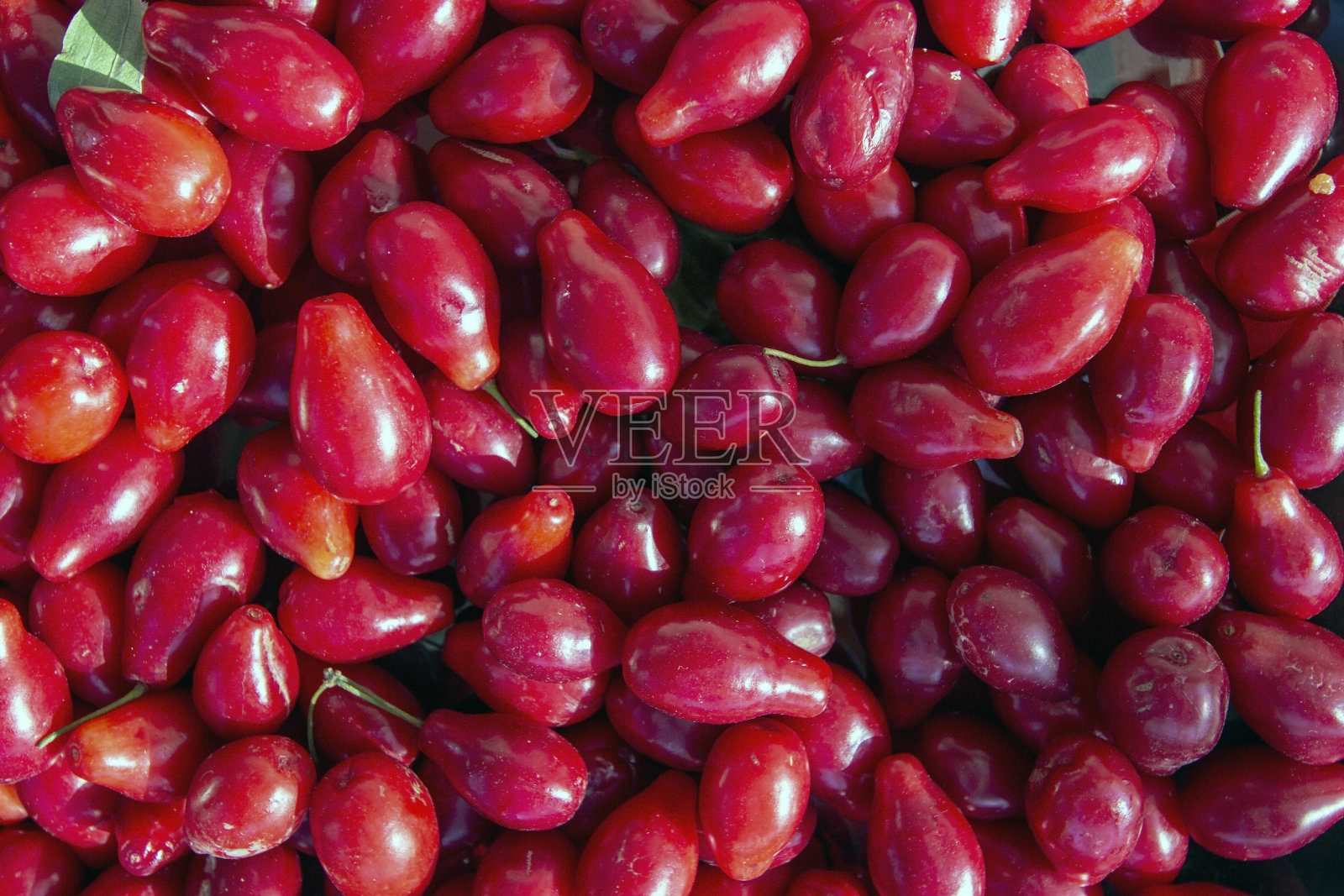 多汁的成熟红山茱萸。特写镜头照片摄影图片