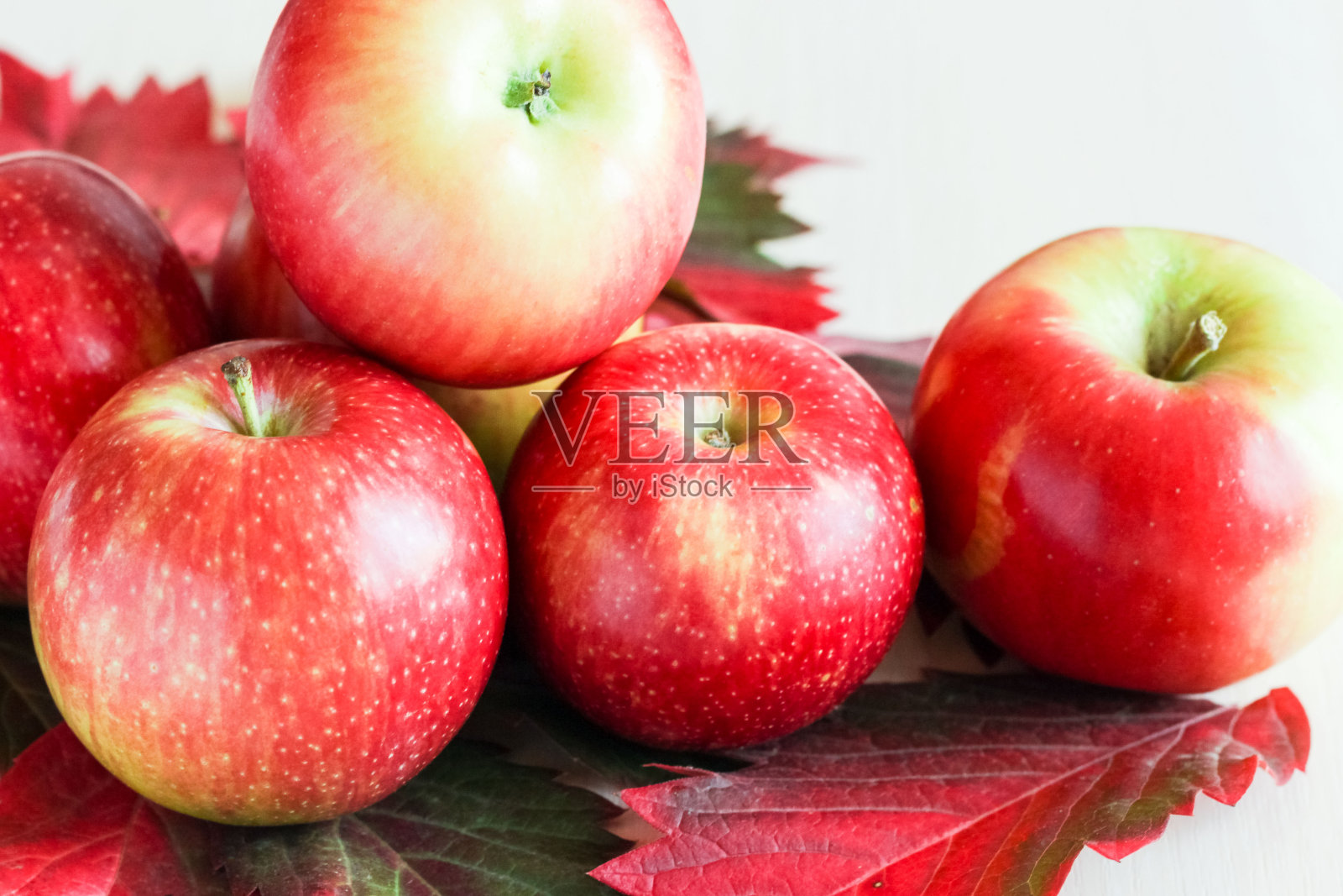 红色苹果与秋叶照片摄影图片