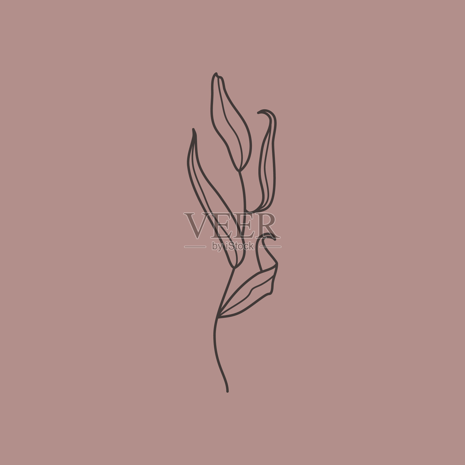 柳枝与树叶在时尚的极简主义风格。植物设计元素概述。花的向量插画图片素材