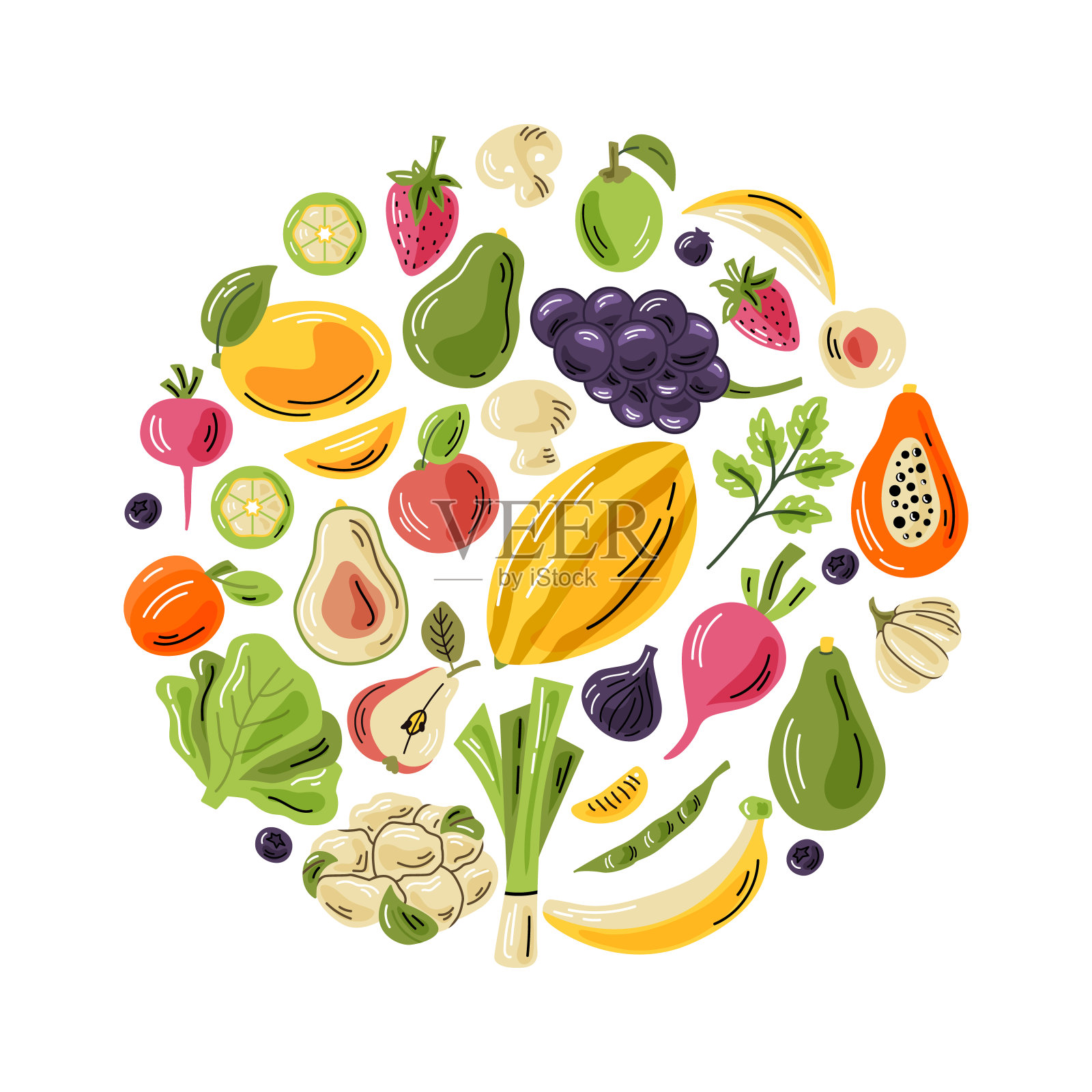 向量的插图插画图片素材