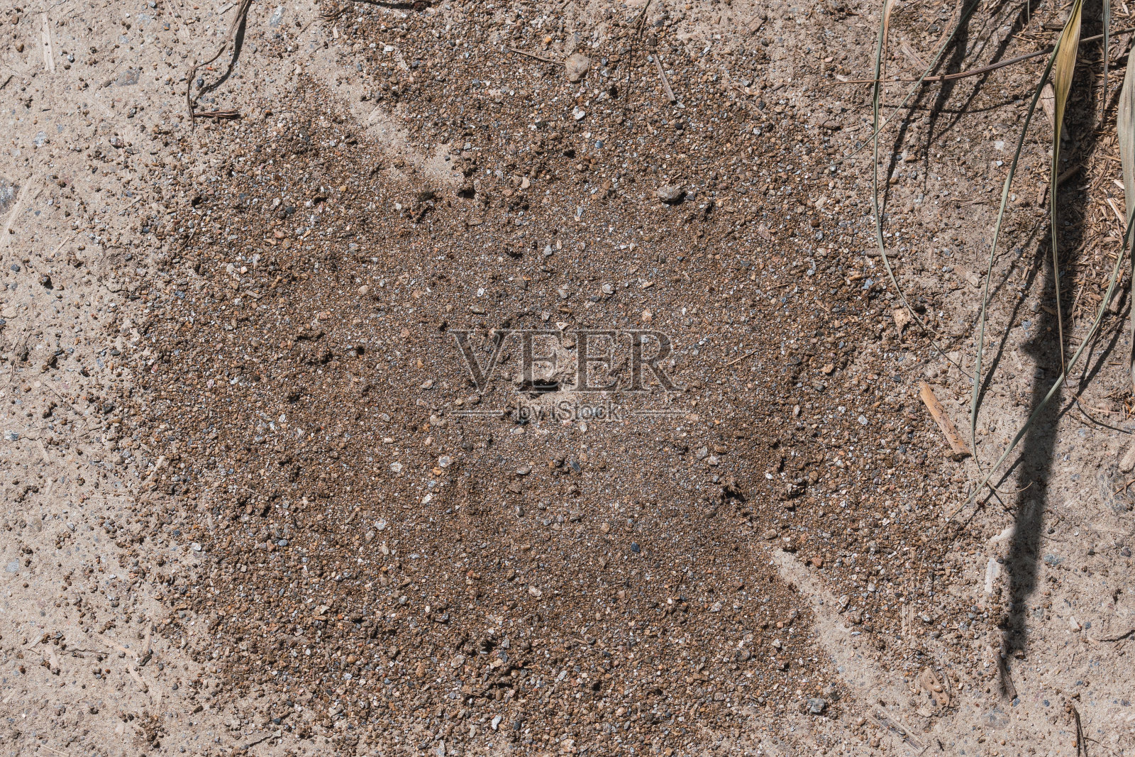 田野里一个蚁丘的洞照片摄影图片