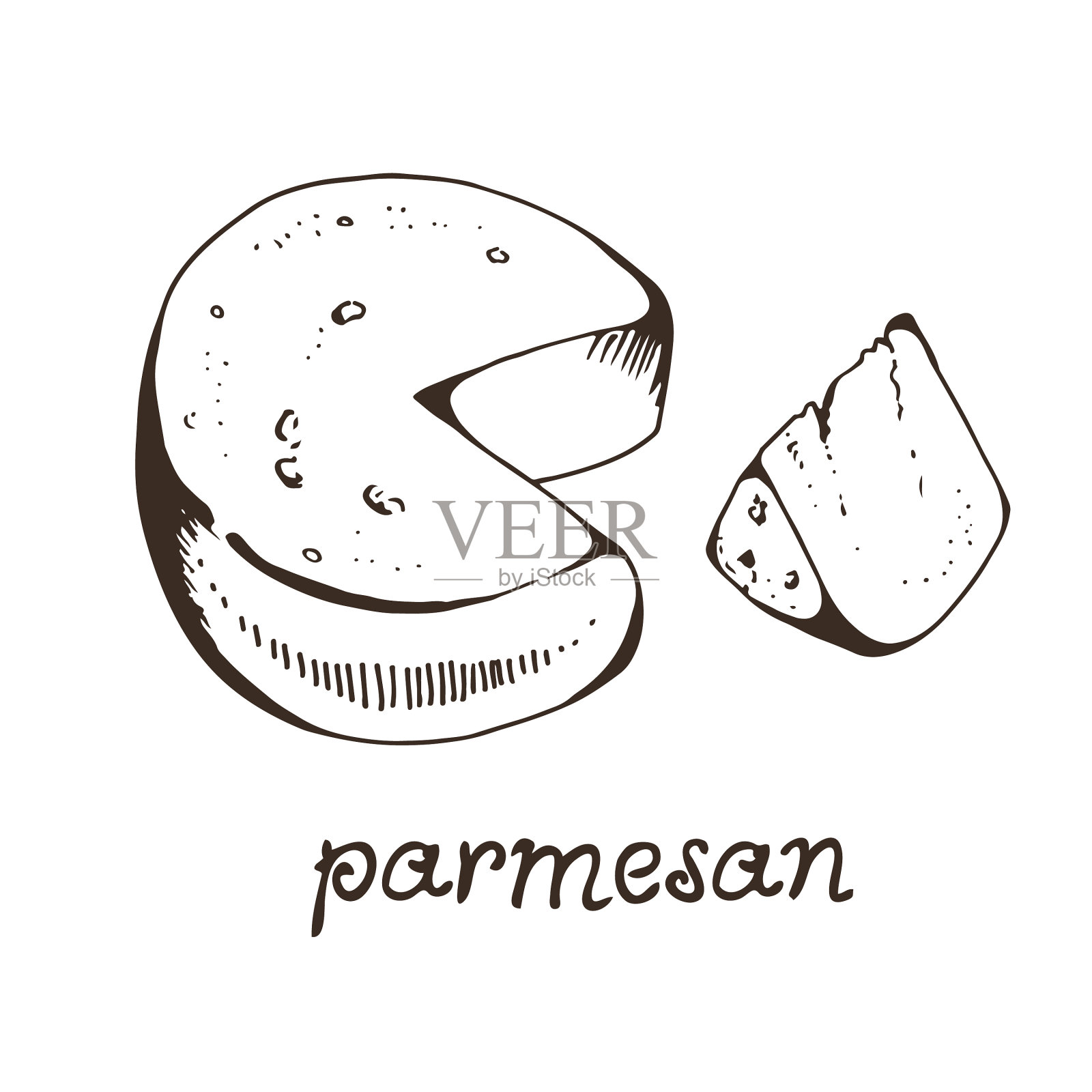 帕尔马干酪手画孤立在白色插画图片素材