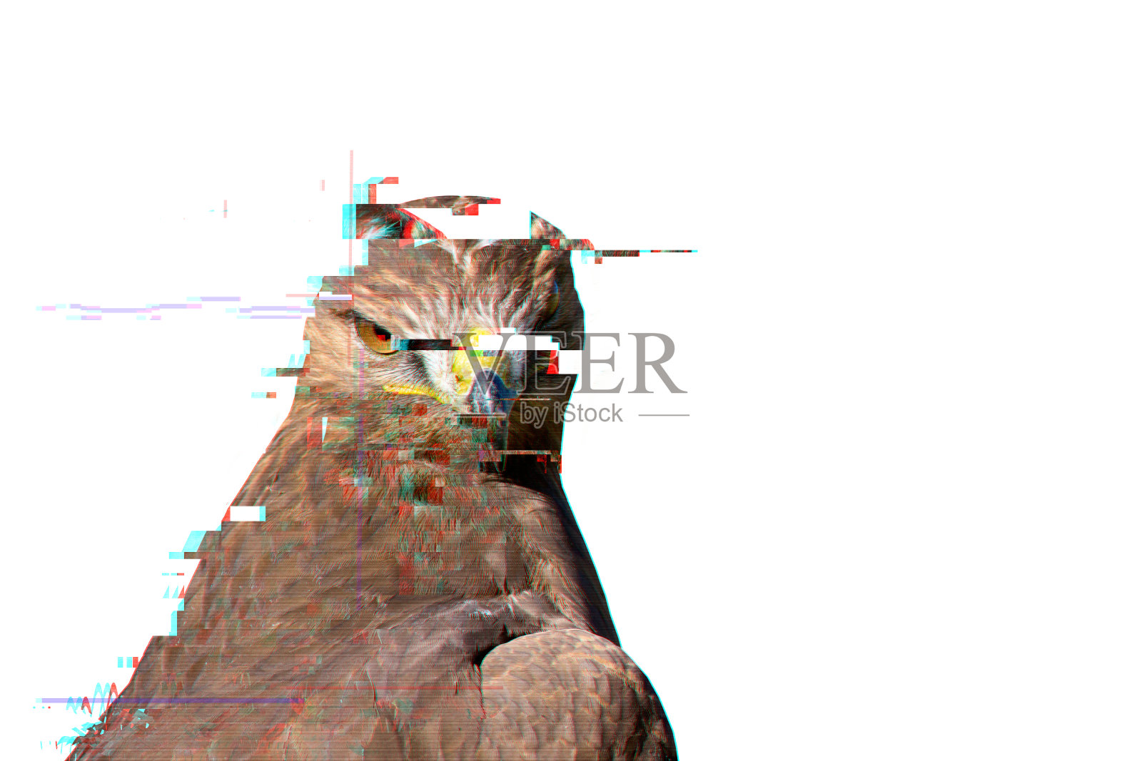 创造性的抽象本质。屏幕故障。白色背景。照片摄影图片