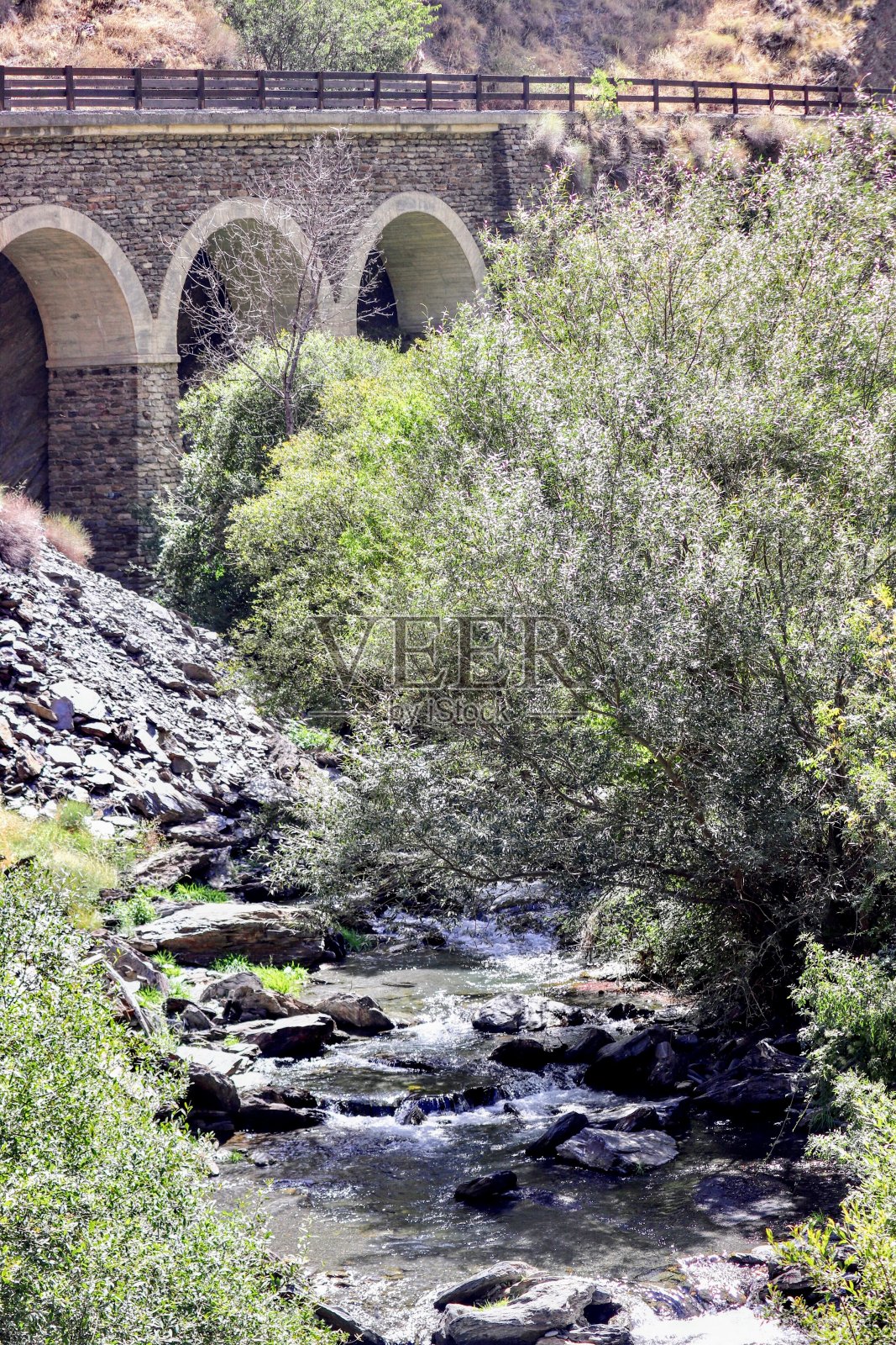 吉尼尔河上的橄榄树照片摄影图片