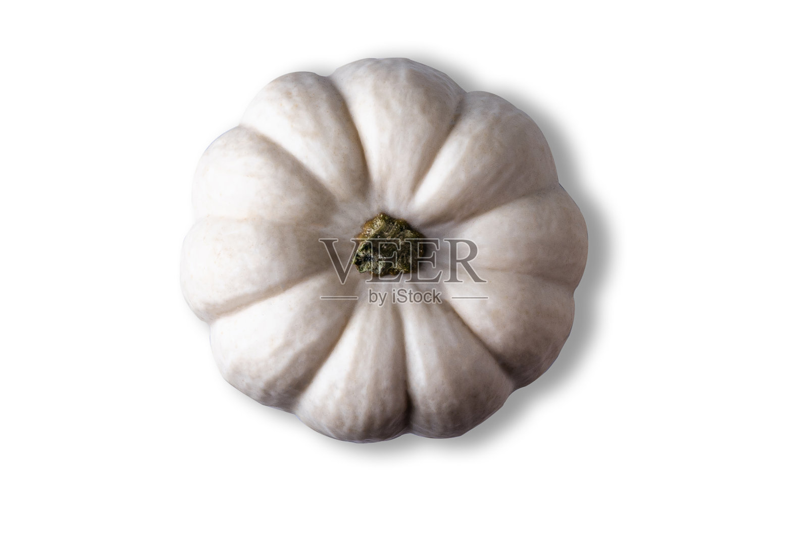 白南瓜从上面孤立在白上照片摄影图片