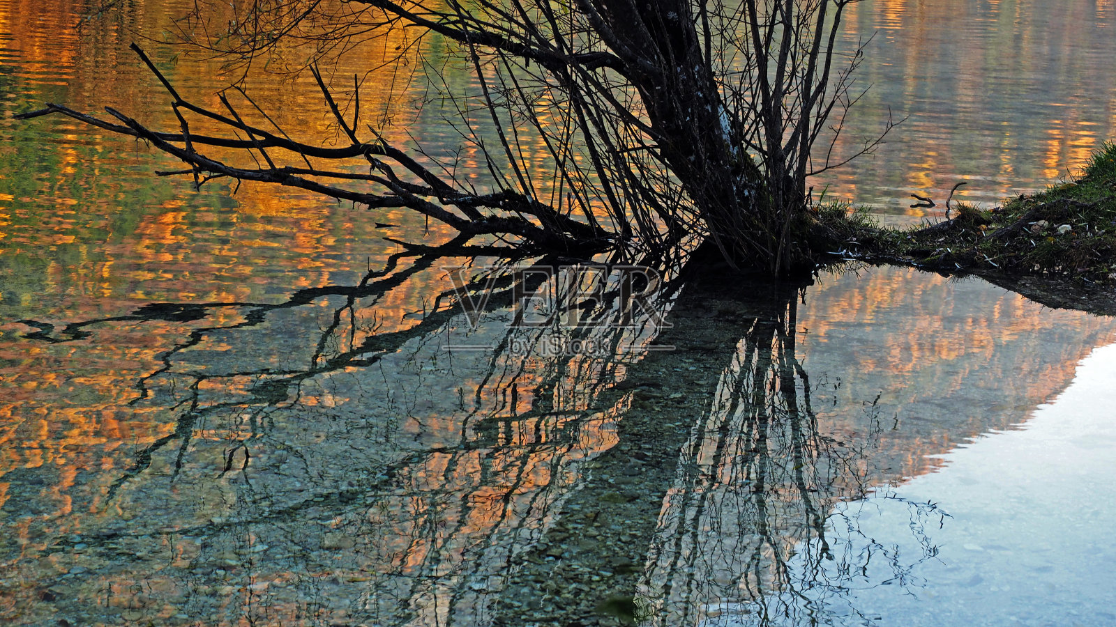 秋天背景照片摄影图片