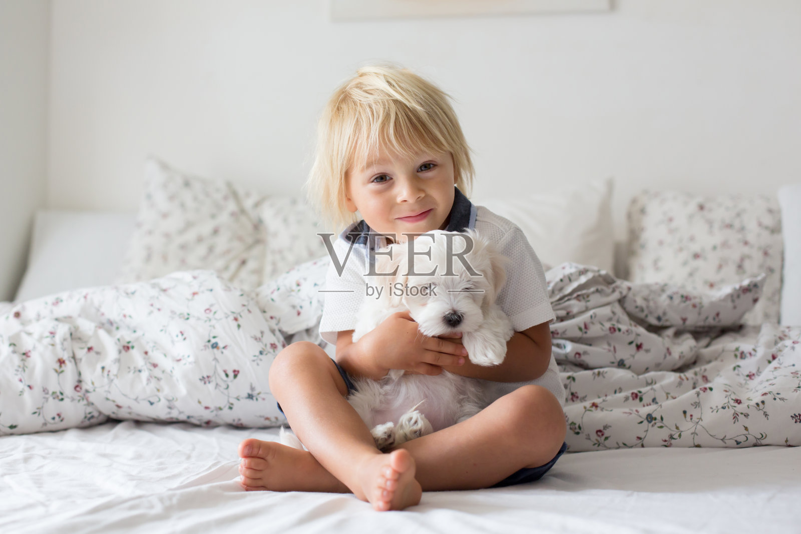 可爱的金发小孩儿，蹒跚学步的小男孩，和白色的小狗马耳他犬一起读书照片摄影图片