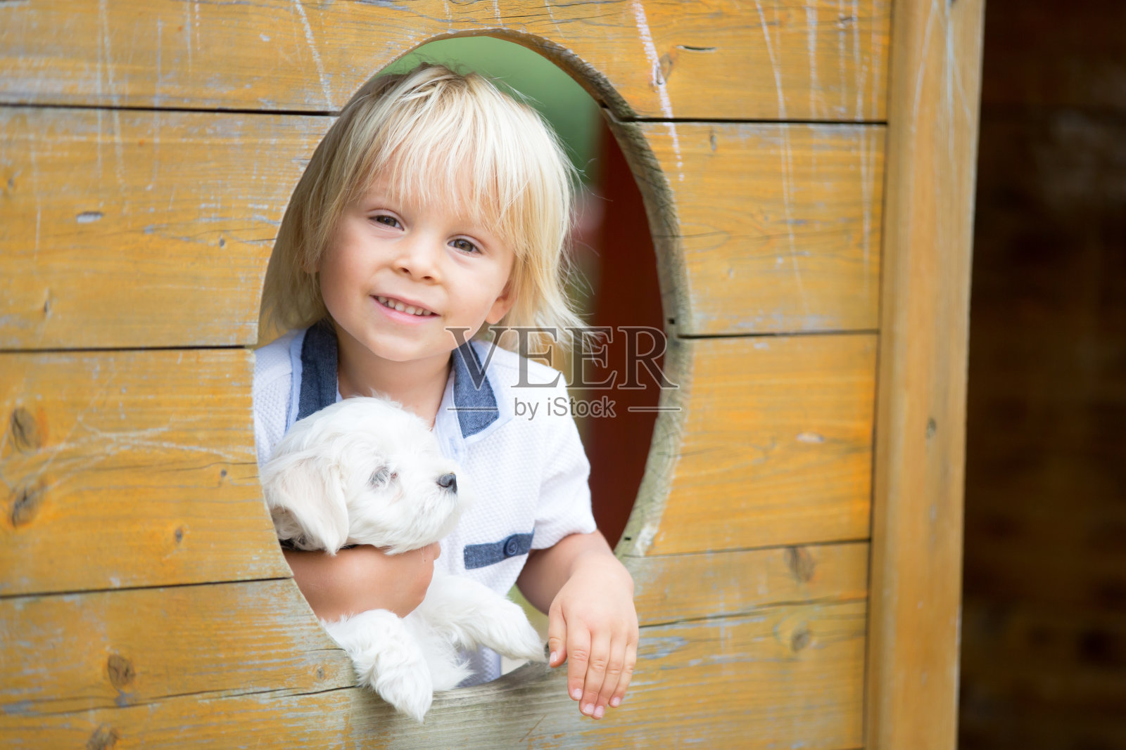 可爱的蹒跚学步的孩子和白色的马耳他小狗，在公园里玩耍，散步照片摄影图片