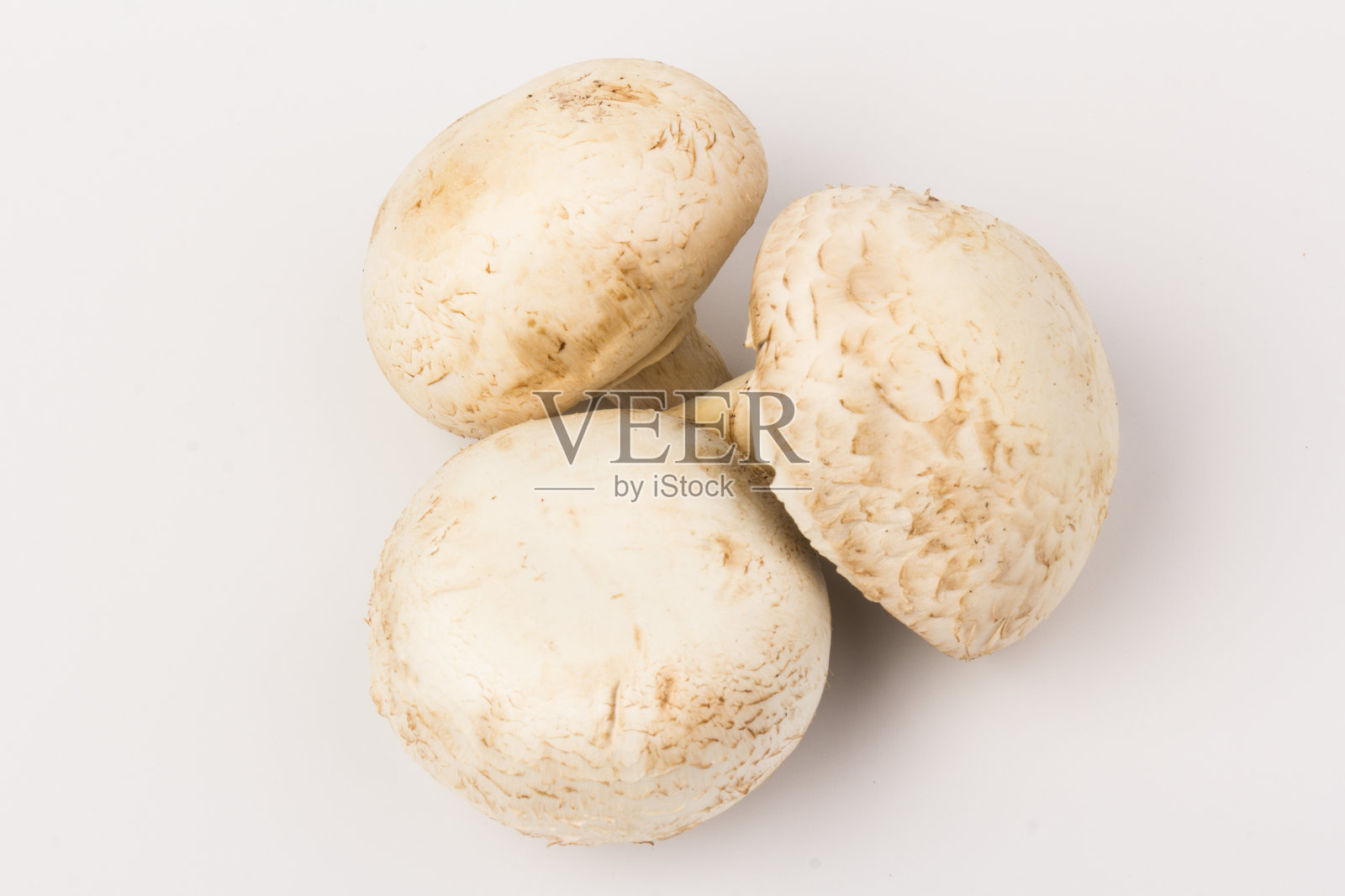 新鲜香槟酒蘑菇，孤立在白色背景上。特写镜头照片摄影图片