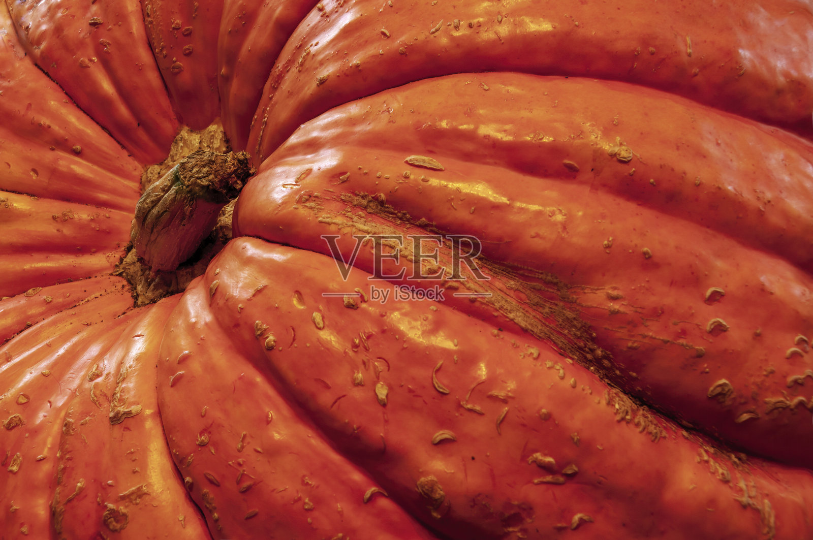 大橙色南瓜葫芦的特写照片摄影图片