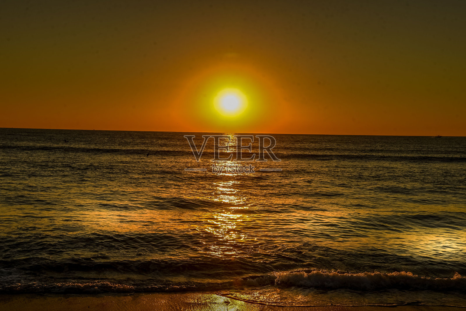 《海边的新泽西日出》照片摄影图片