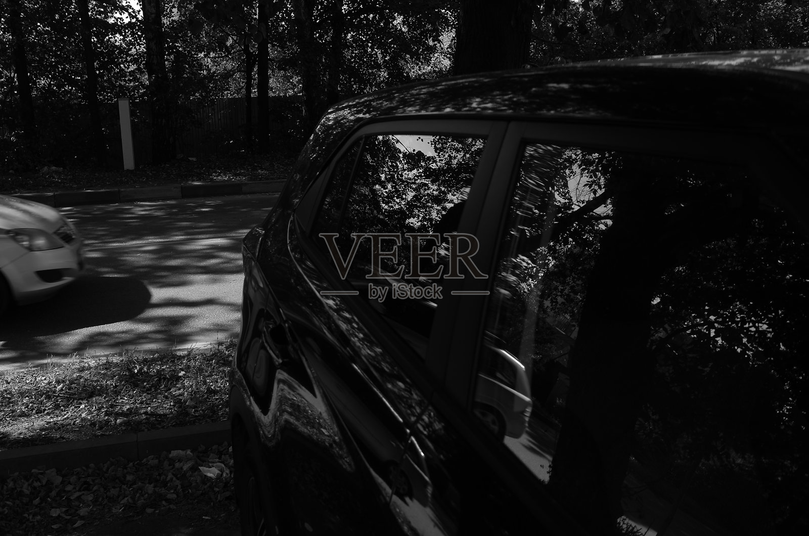 树枝倒映在停着的汽车上照片摄影图片