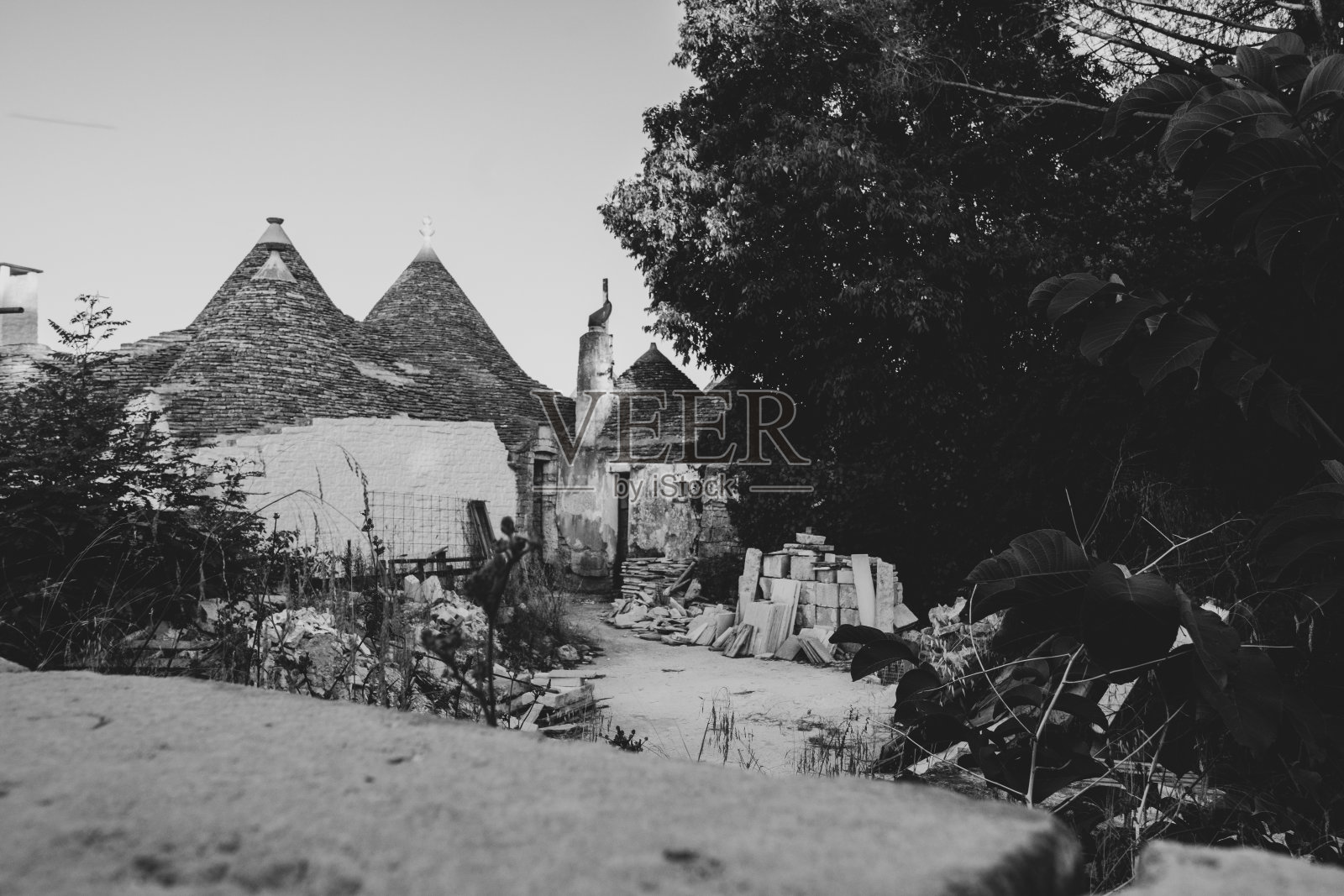 树木和建筑物顶着天空照片摄影图片