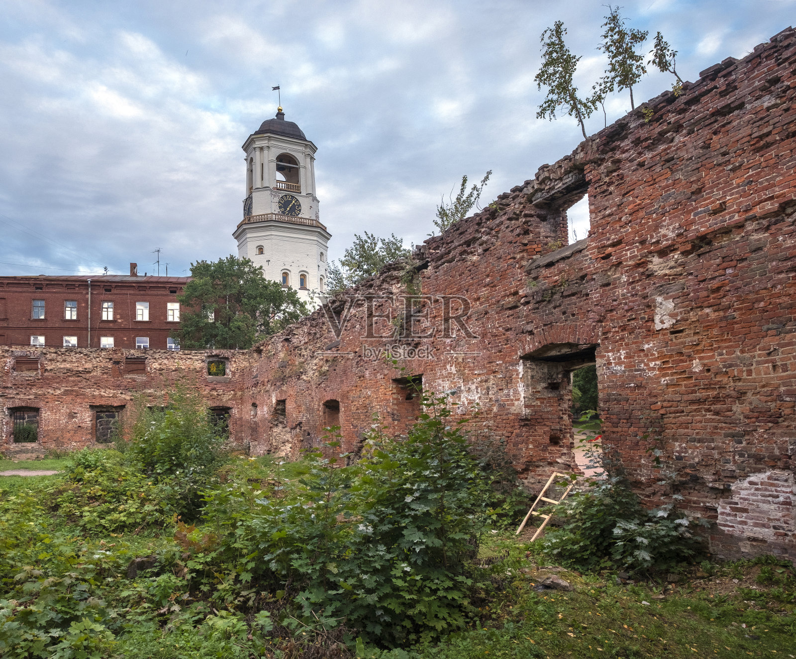 俄罗斯维堡市的古老钟楼照片摄影图片