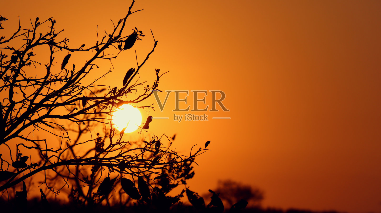 日落照片摄影图片