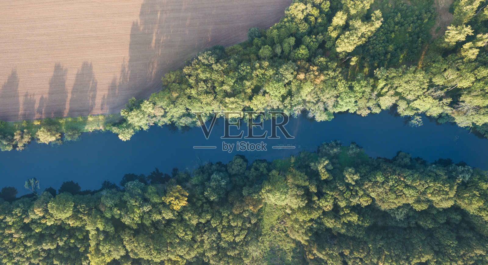 在明亮的阳光下，河流的弯曲和绿色森林的顶视图。小溪在公园的树林中。空中无人机视图。夏秋时节。小溪被绿色的森林包围着。照片摄影图片