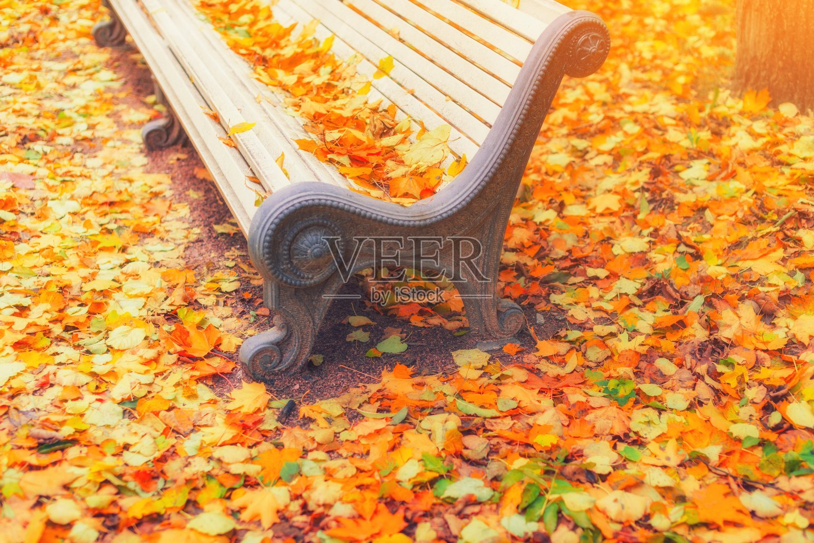 落叶落在空旷的公园里的木凳上，背景是秋天。长凳，秋天的景观，城市公园的黄叶，街道长凳在秋天的胡同景观。周末在城市公园的概念。照片摄影图片