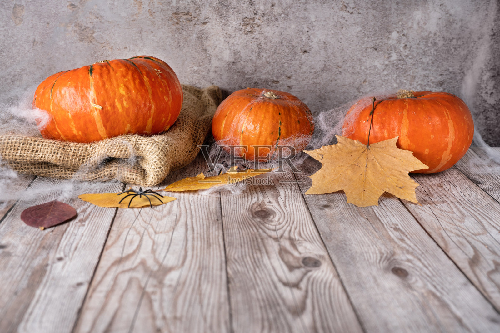 用南瓜、蜘蛛网和树叶组成的质朴的秋季作品照片摄影图片