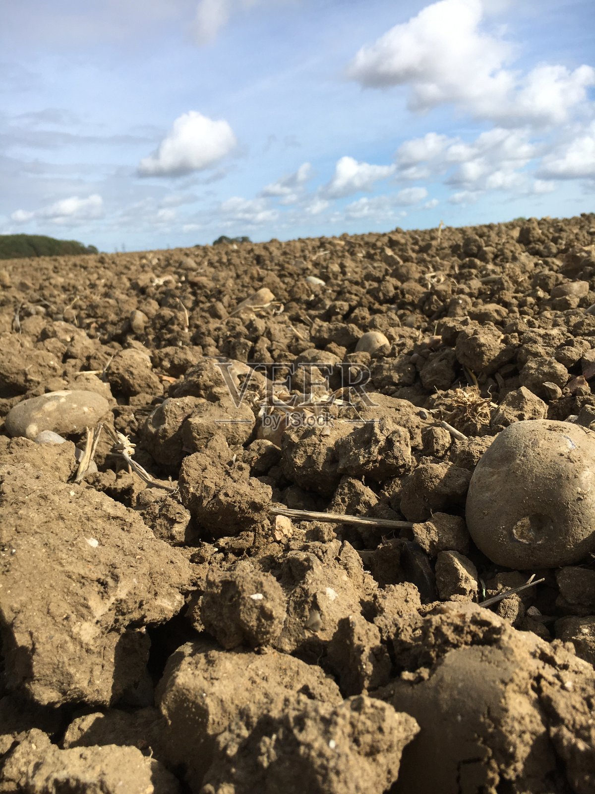 美丽的蓝天和可爱的云在农业领域照片摄影图片