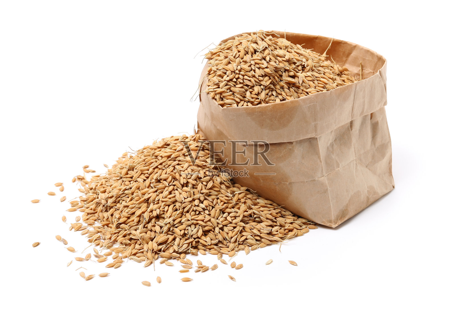 帕迪照片摄影图片