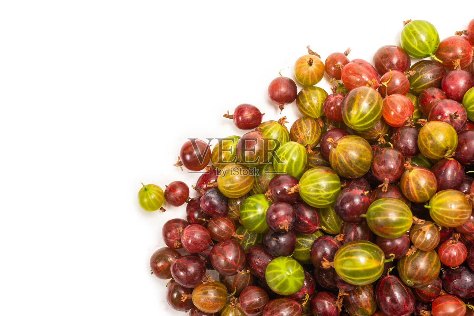 醋栗孤立在白色背景上。照片摄影图片