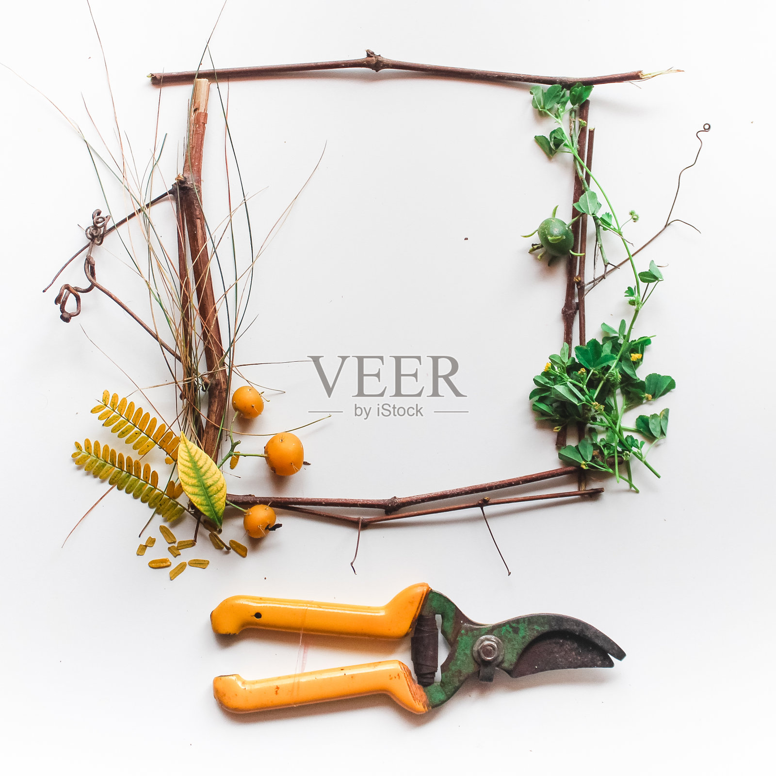 魔法花园照片摄影图片