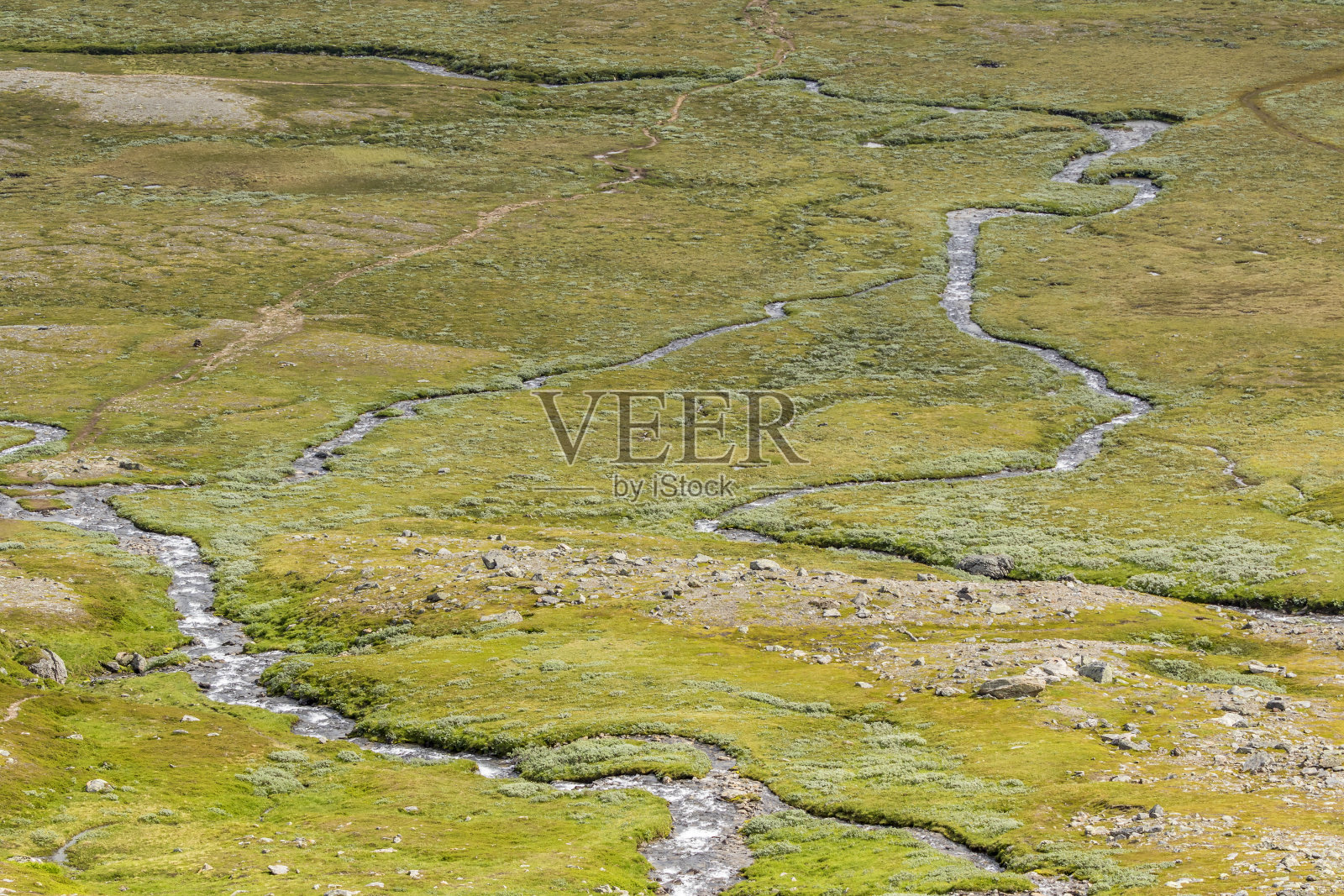 高原上蜿蜒的溪流照片摄影图片