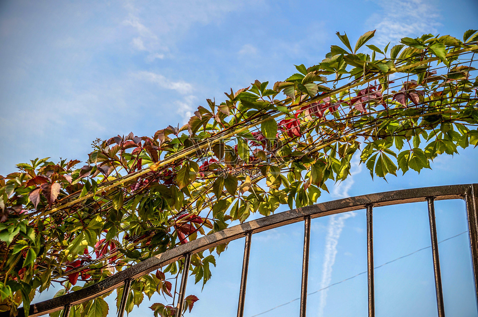 对冲照片摄影图片