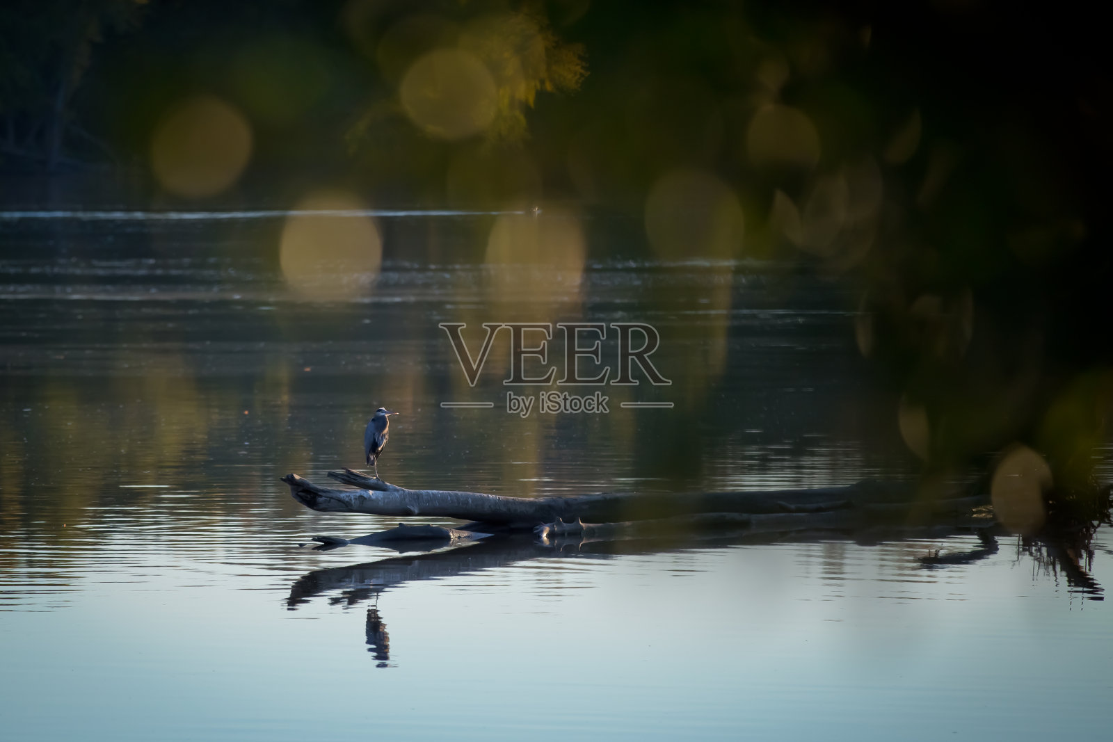 河看照片摄影图片
