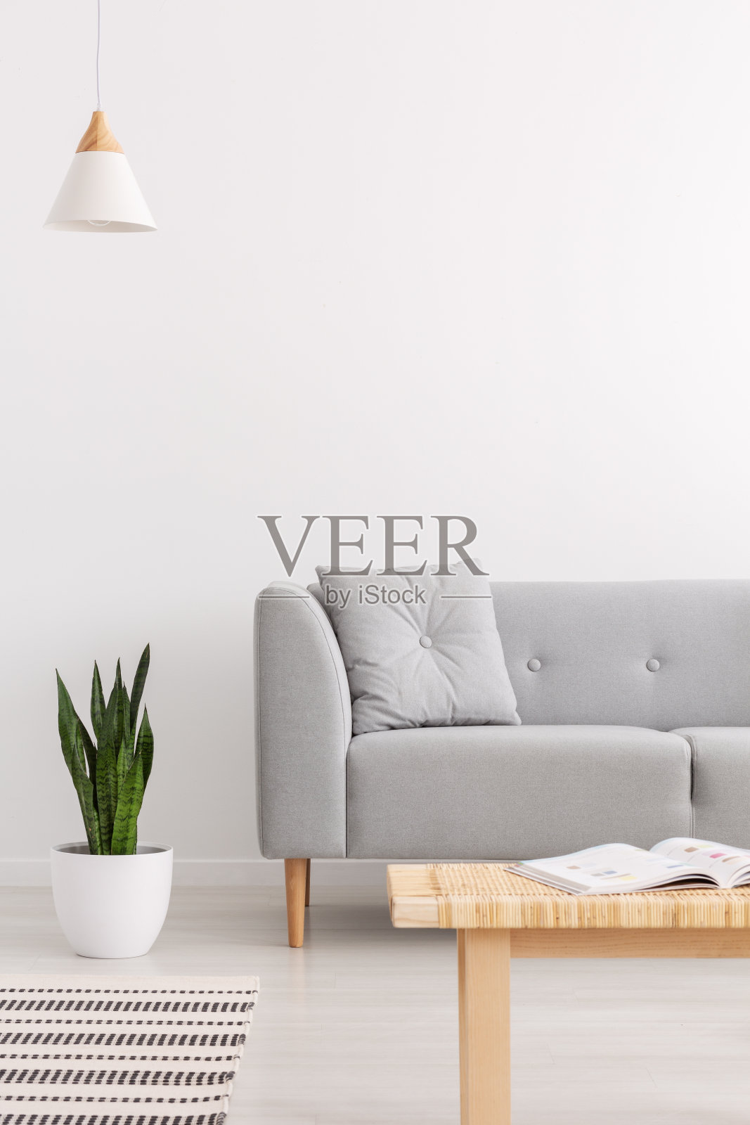灯在植物旁边的灰色沙发与坐垫在白色阁楼内部与木桌。真实的照片照片摄影图片