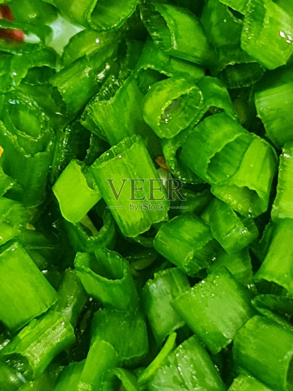 葱照片摄影图片