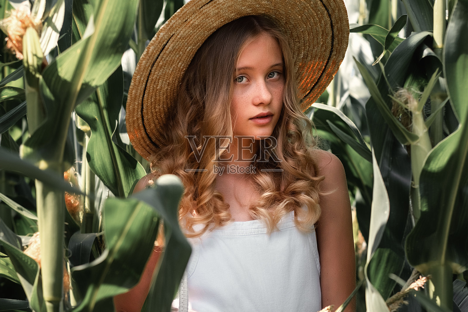 时尚的年轻女孩穿着复古服装和帽子在玉米田摆姿势。与自然统一。时尚的概念照片摄影图片