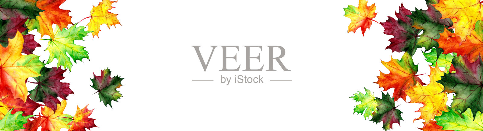 水彩枫叶横旗。秋天的设计。手绘的风格。插图插画图片素材