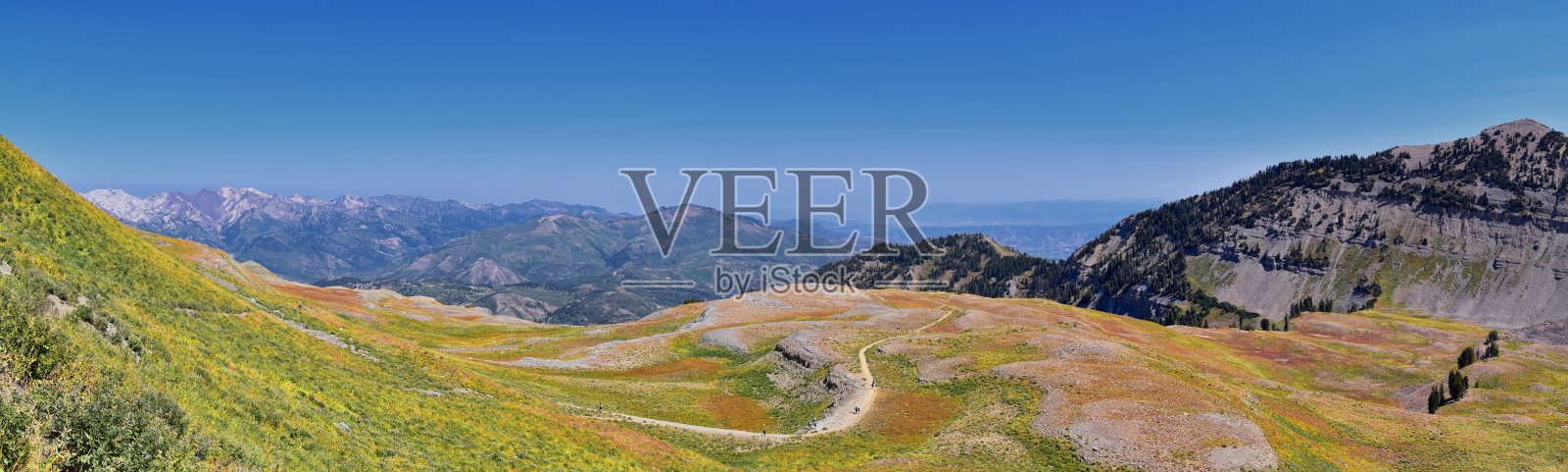 Timpanogos徒步旅行小径在Uinta Wasatch Cache国家森林，周围的犹他州湖，在落基山脉的秋天。美国盐湖城。照片摄影图片