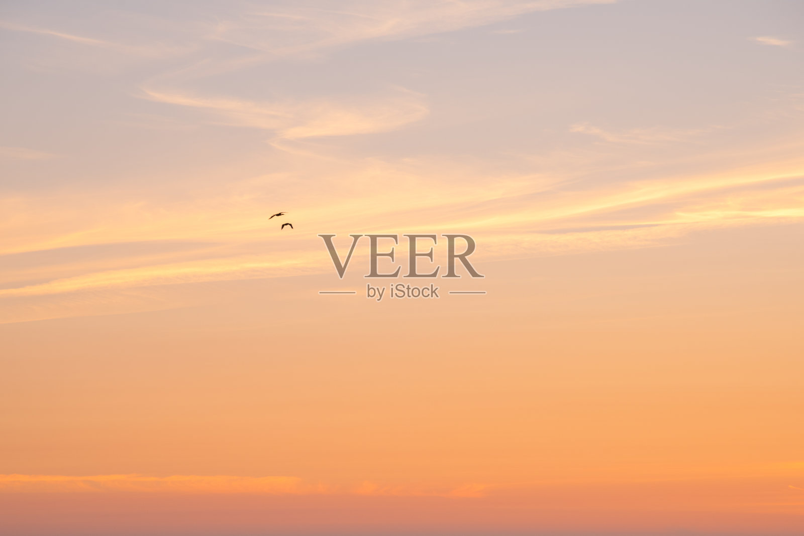 补充橙色的日落天空与两只鸟飞行照片摄影图片