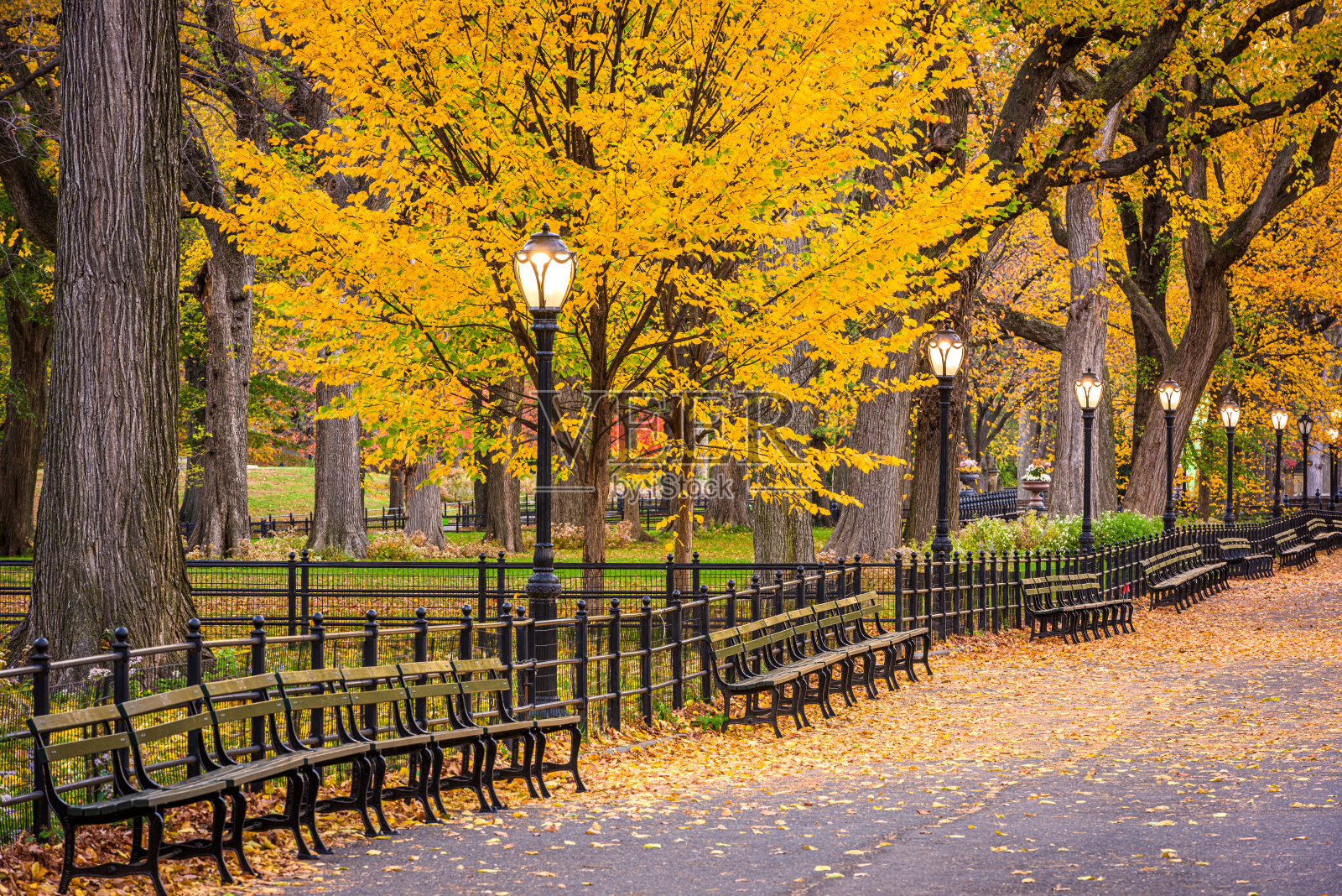 纽约购物中心的中央公园照片摄影图片