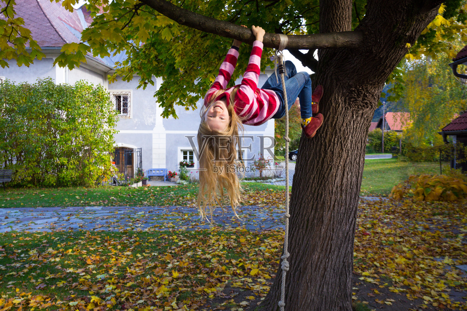 快乐的女孩挂在树上。节日快乐照片摄影图片