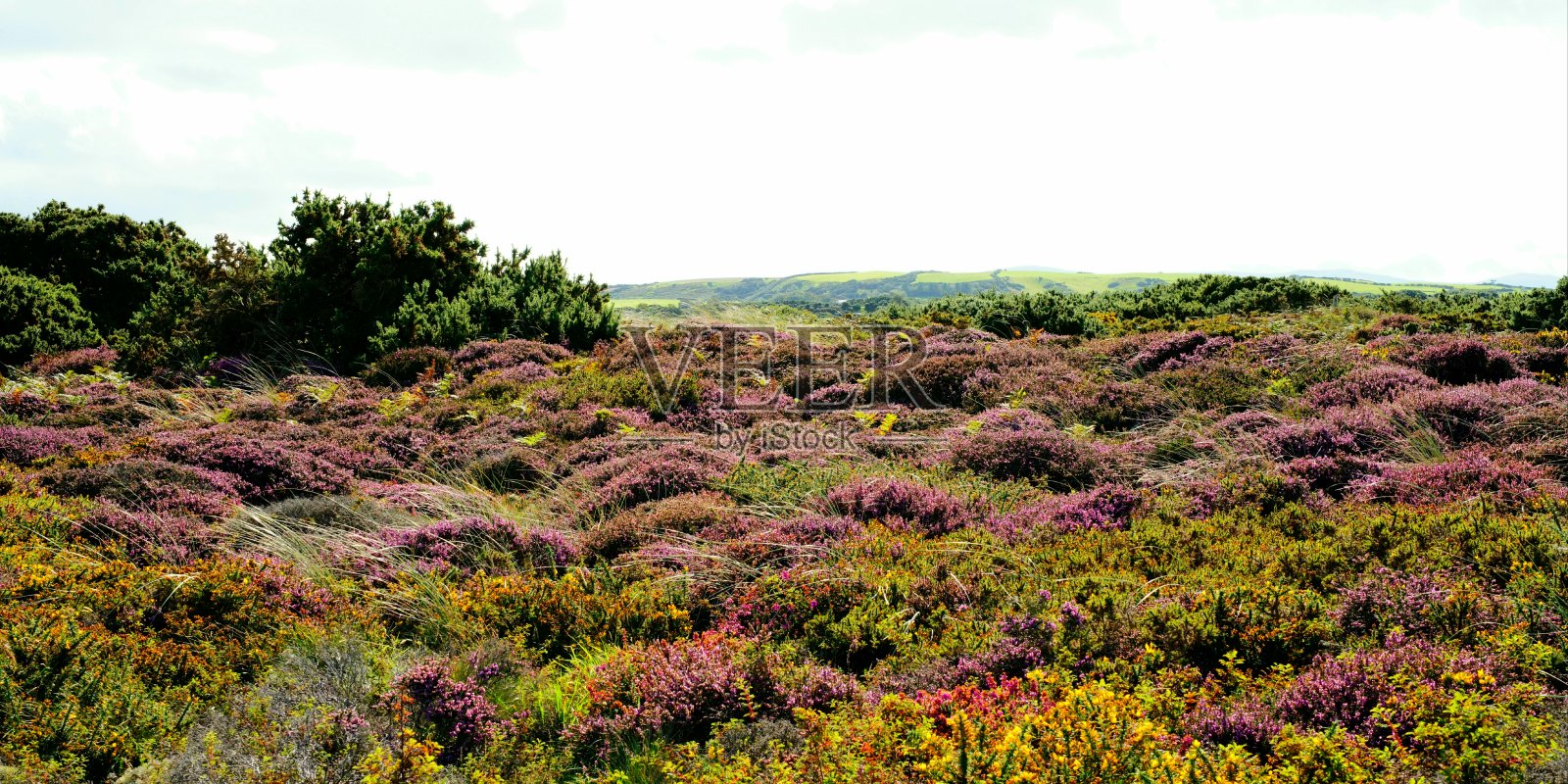 斯梅尔，马恩岛照片摄影图片