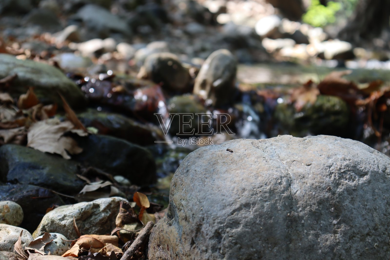 石头在河照片摄影图片