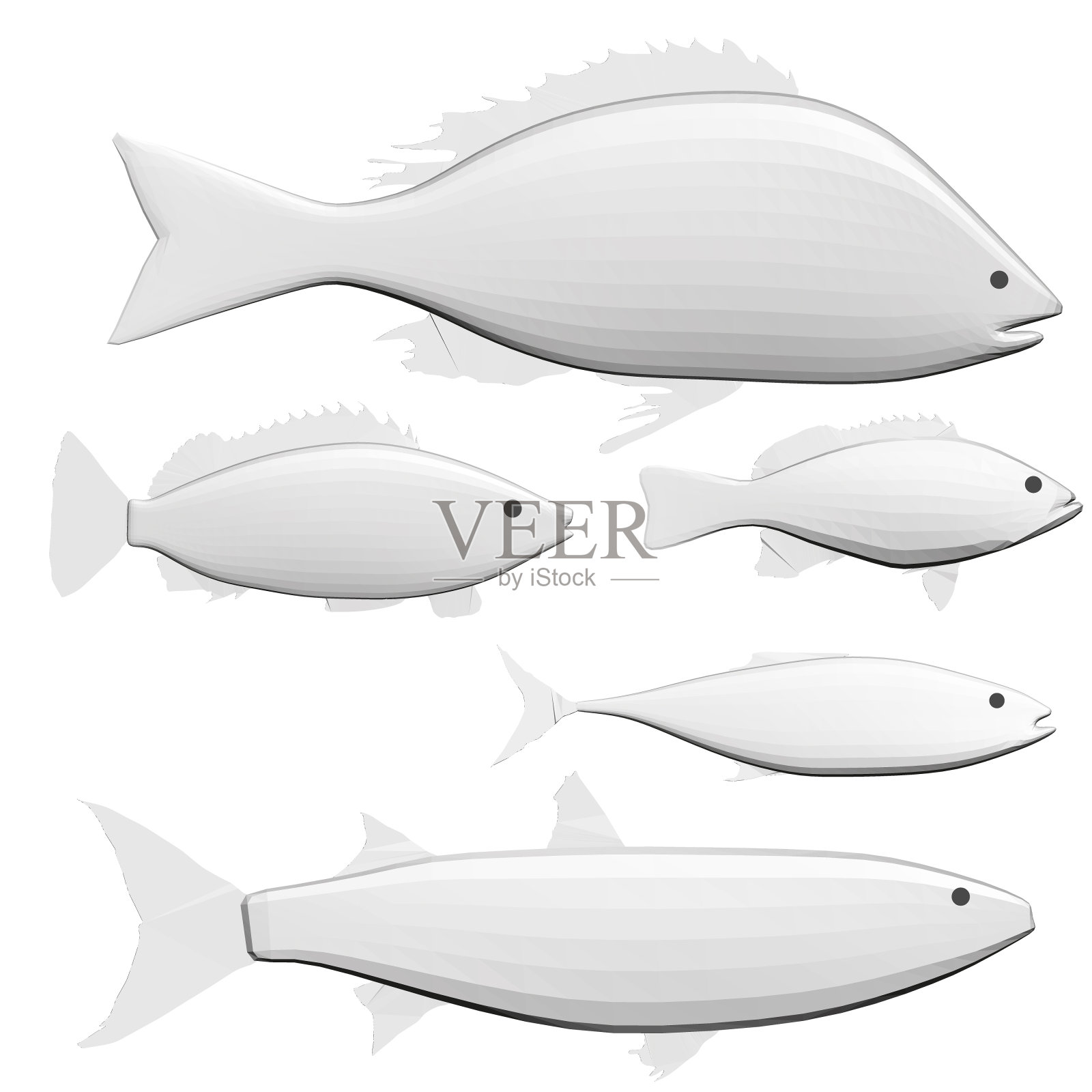 设置多边形不同的鱼孤立在白色背景。3 d。矢量图插画图片素材
