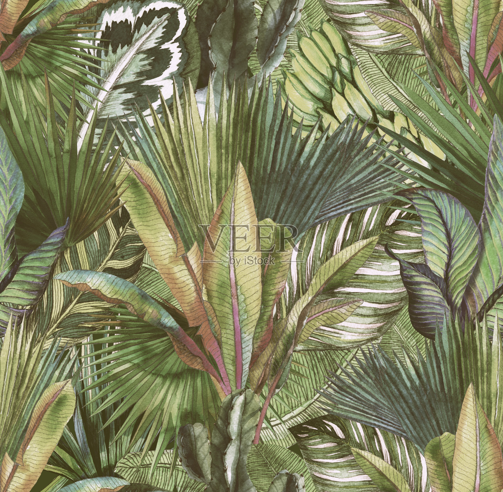水彩手绘的热带树叶插画图片素材