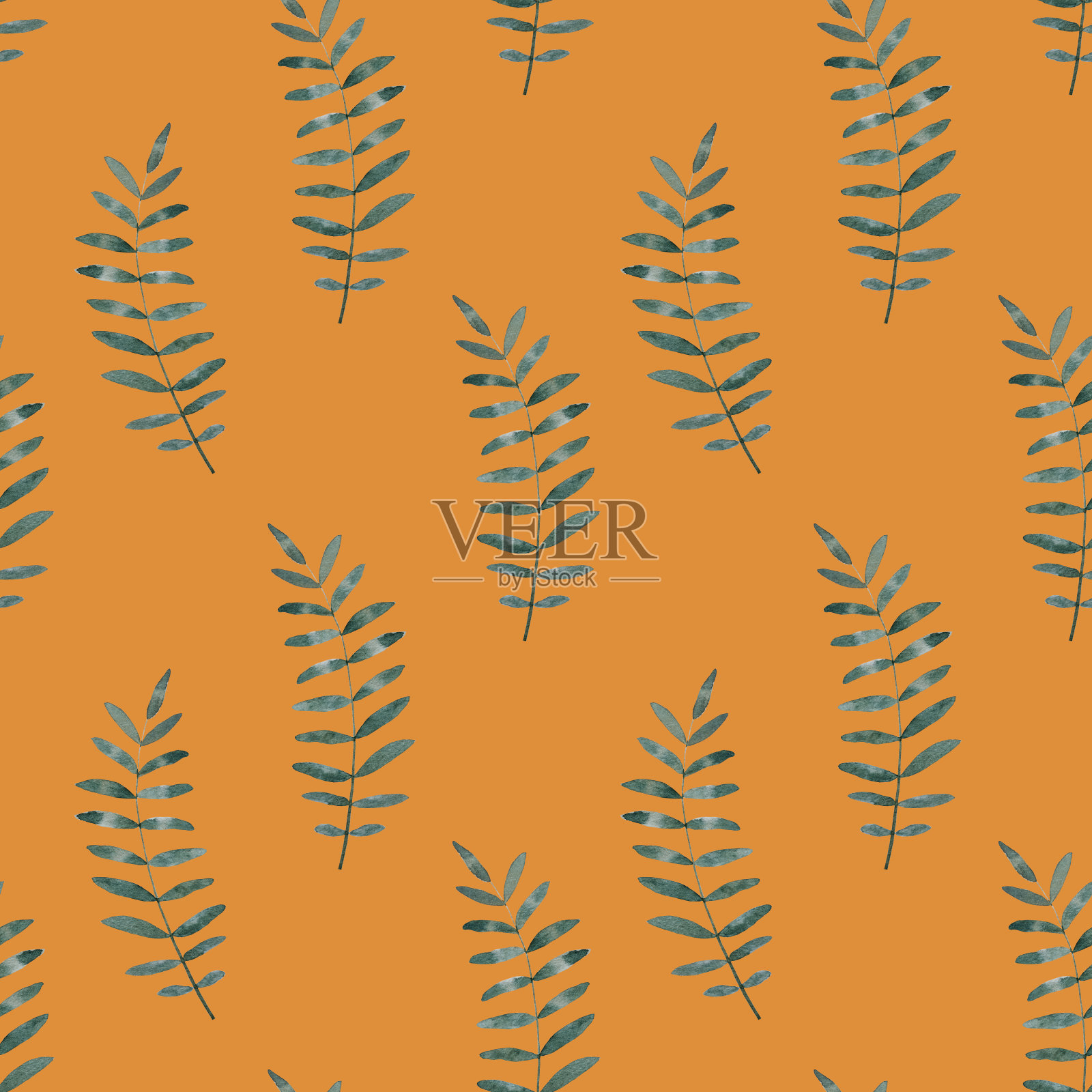 明亮的画面配上植物的形象插画图片素材