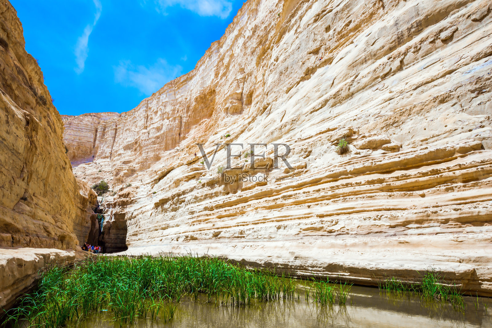 绿色的镜湖照片摄影图片