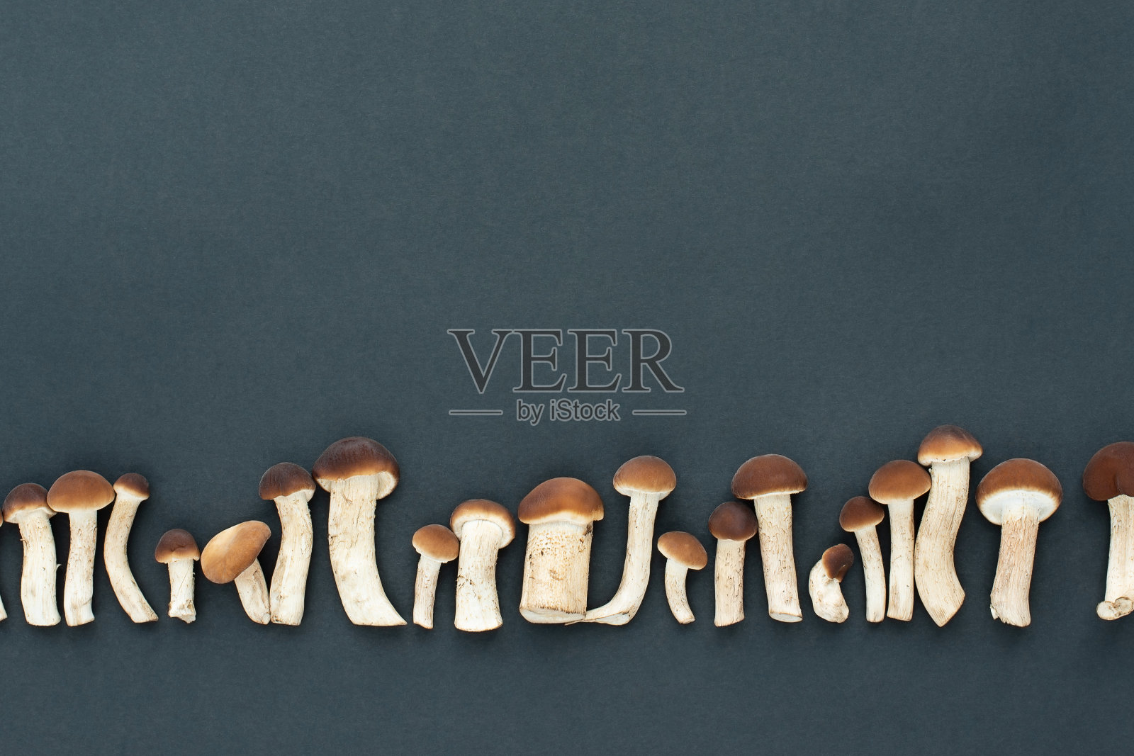 蘑菇，蜂蜜木耳在黑色的背景。黑石。副本的空间。模式照片摄影图片