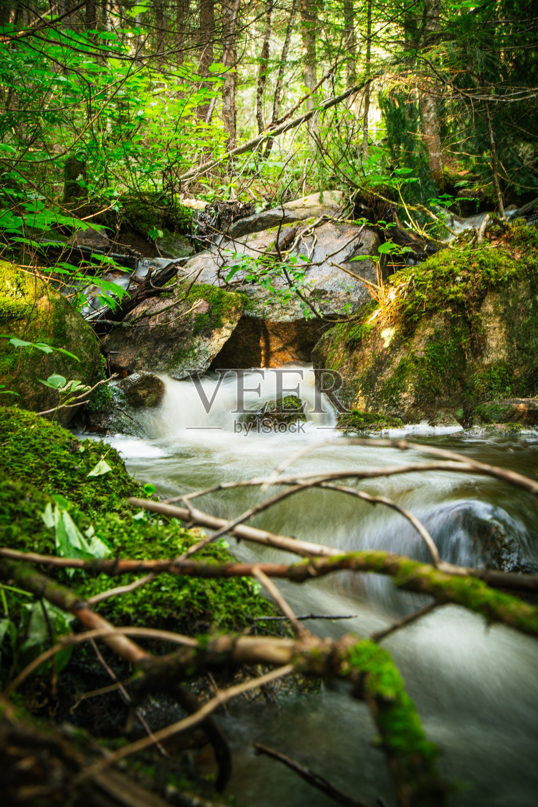 河流落在森林里照片摄影图片